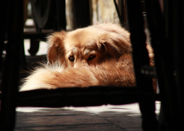 photo_shots_08