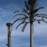 Marrakesh-1