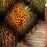 Marrakesh-21