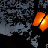 Selection-29