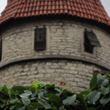 Tallin-29
