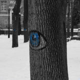 Ukraine-2